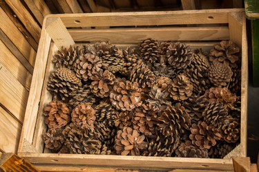 Similar image 20058562