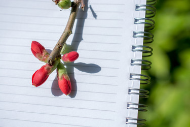 Similar image 20058564