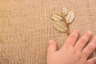 Similar image 20058507