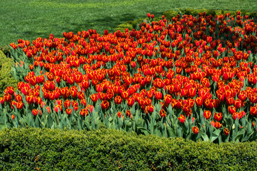 Similar image 20058544