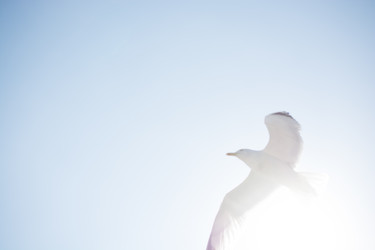 Similar image 20058576