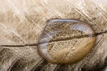 Similar image 20058548