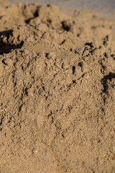 Similar image 20058550