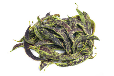 Similar image 19946789