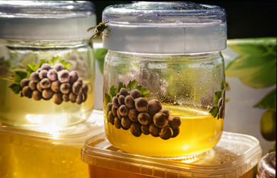 Similar image 20166654