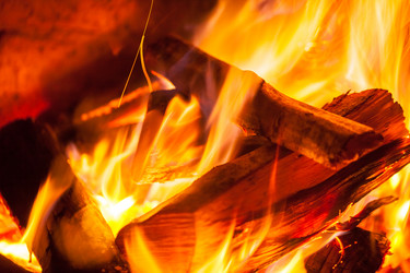 Similar image 19947049