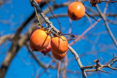 Similar image 19946520