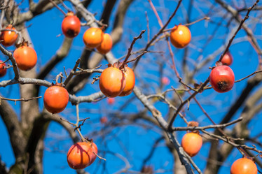 Similar image 19946521