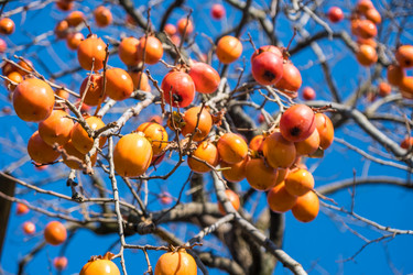 Similar image 19946537