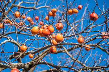 Similar image 19946539