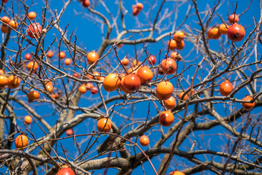 Similar image 19946558