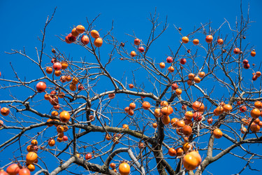 Similar image 19946559