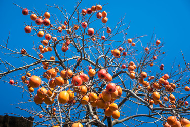 Similar image 19946560