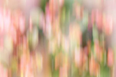 Similar image 20166309