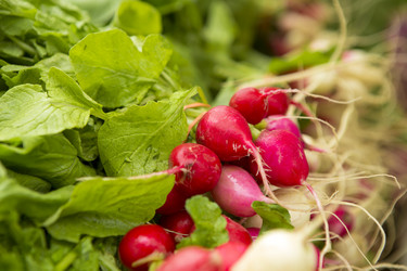 Similar image 19966863