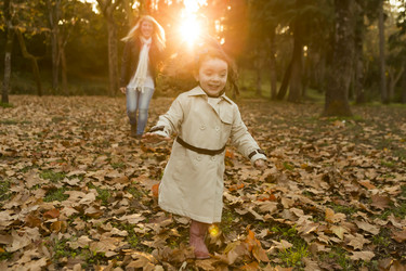 Similar image 19966999