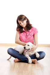 Similar image 20060209