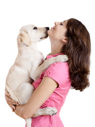 Similar image 20060213