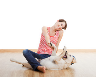 Similar image 20060319