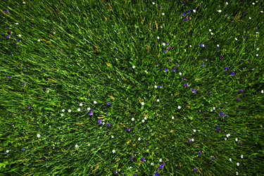 Similar image 20060853