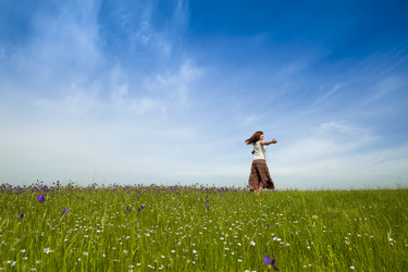 Similar image 20060871