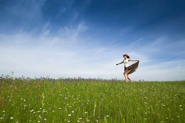 Similar image 20060875