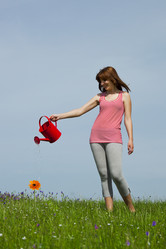 Similar image 20060881