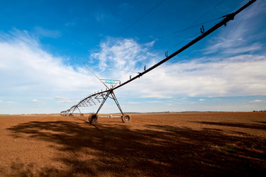 Similar image 20060886