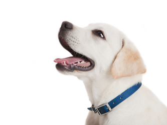 Similar image 20060922