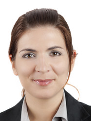 Similar image 20061032