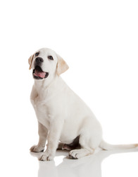 Similar image 19967168