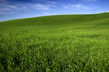 Similar image 20061076