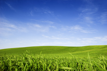 Similar image 20061086