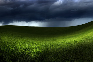 Similar image 20061088