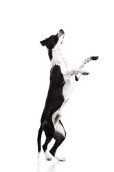 Similar image 20061298