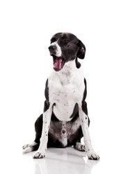 Similar image 20061321