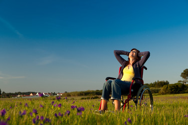 Similar image 20061876