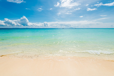 Similar image 19941606