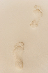 Similar image 19944987