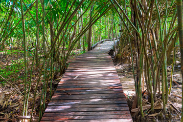 Similar image 19945096