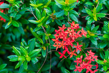 Similar image 20070745