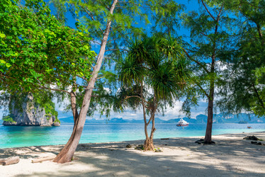 Similar image 20070767