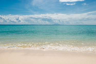 Similar image 20070770