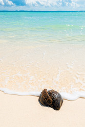 Similar image 20070771