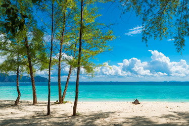 Similar image 20070772