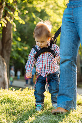 Similar image 20174982