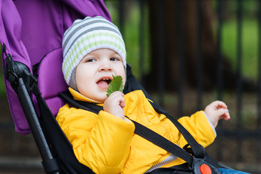 Similar image 20175014