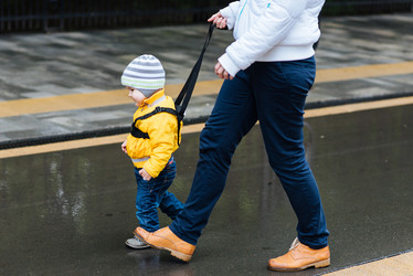 Similar image 20193354