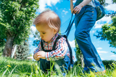 Similar image 20193396