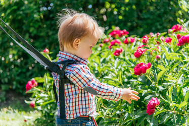 Similar image 20193412